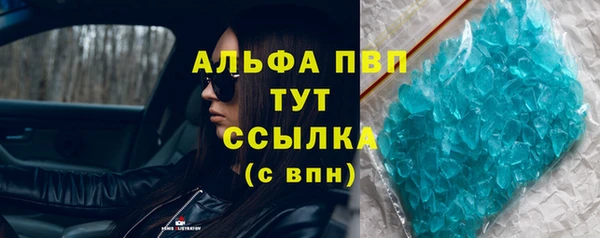 хмурый Аркадак