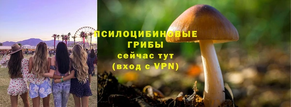 apvp Арсеньев