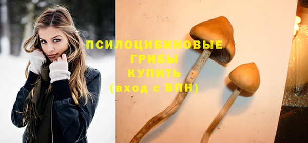 ALPHA PVP Армянск
