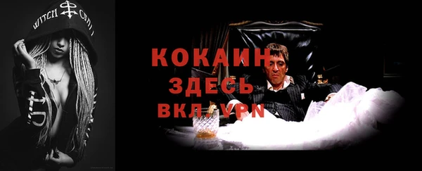 хмурый Аркадак