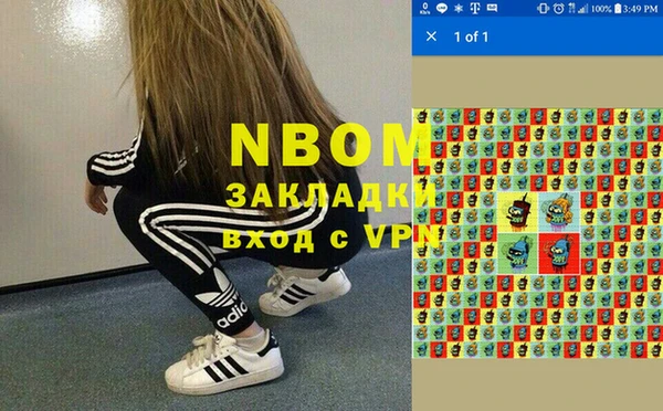 хмурый Аркадак