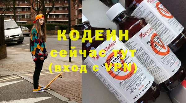 хмурый Аркадак