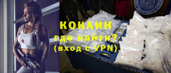 хмурый Аркадак