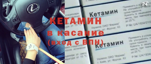 хмурый Аркадак