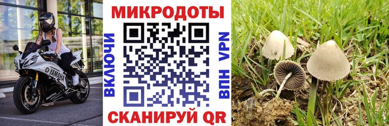 что такое наркотик Южноуральск Псилоцибиновые грибы Cubensis